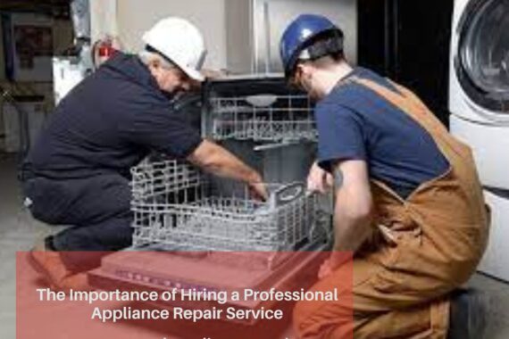 Hiring a Professional Appliance Repair Service